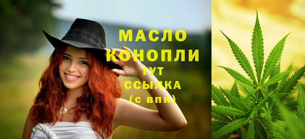 СК Михайлов