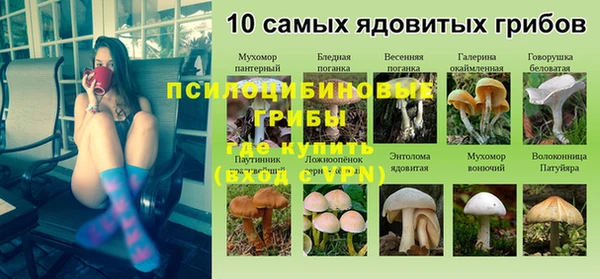 СК Михайлов