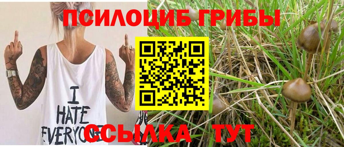 Стерлитамак  Псилоцибиновые грибы прущие грибы  Вход с VPN 