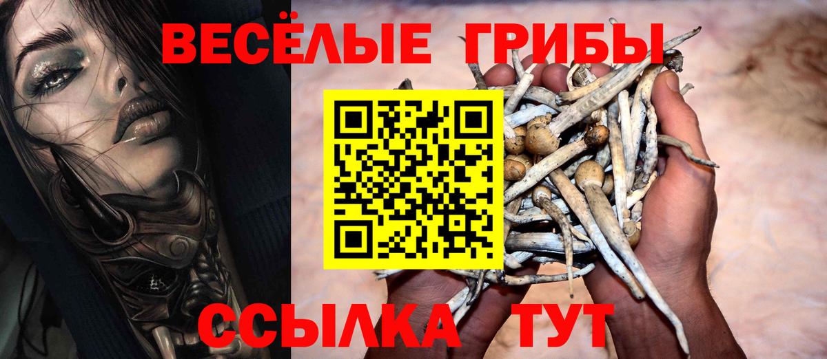 Псилоцибиновые грибы MAGIC MUSHROOMS Стерлитамак