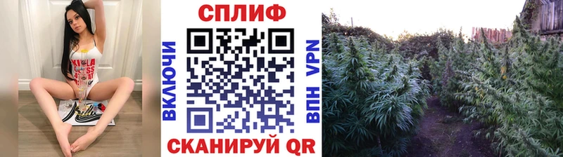 Марихуана Bruce Banner  Стерлитамак 